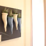 Daire Maison Cantone Napoli